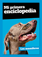 Discovery - Mi Primera Enciclopedia