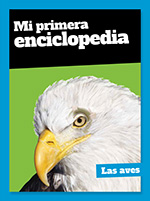 Discovery - Mi Primera Enciclopedia