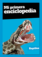 Discovery - Mi Primera Enciclopedia