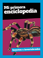 Discovery - Mi Primera Enciclopedia